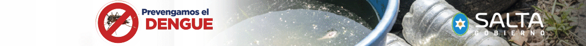 261001 Banner werb Dengue 1140x90